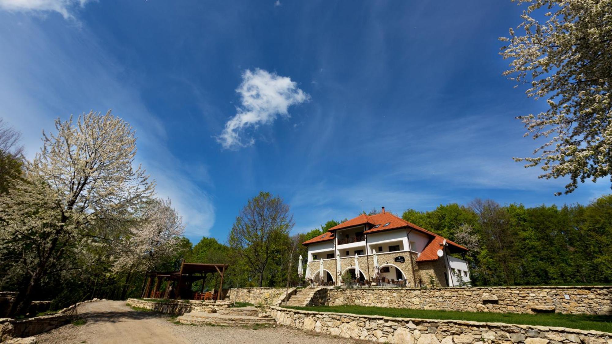 Cetatuia Hotel Магура Екстериор снимка